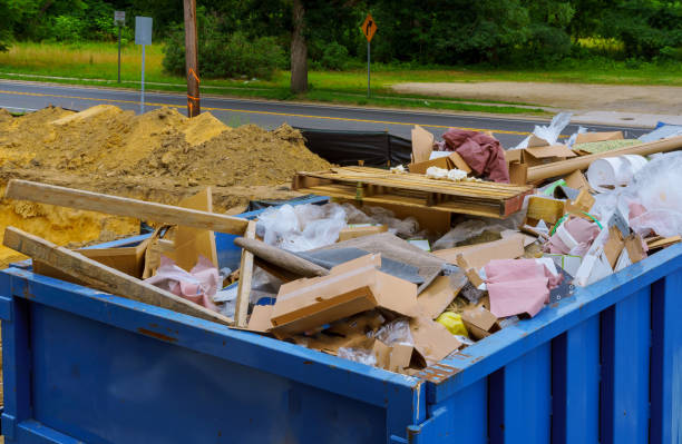 Professional Junk Removal  in Pella, IA